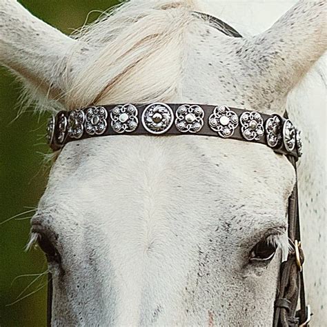 Medieval Browband For Horses Pony Draft Brow Band Black Horse Etsy In