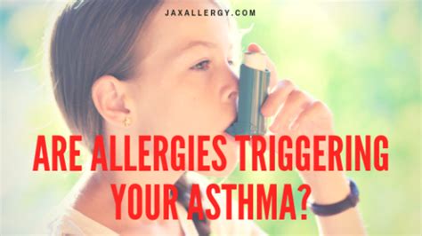 Allergic Asthma How To Know If Allergies Are Triggering Your Asthma