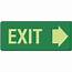 COS Exit Sign Poly 350W X 180H
