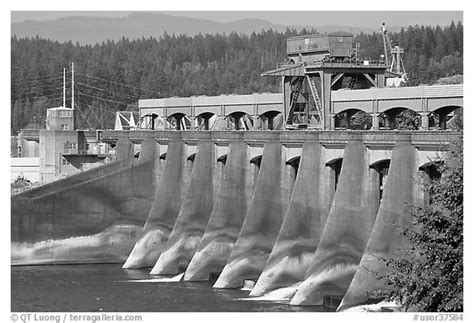 Black And White Picturephoto Bonneville Dam Columbia River Gorge