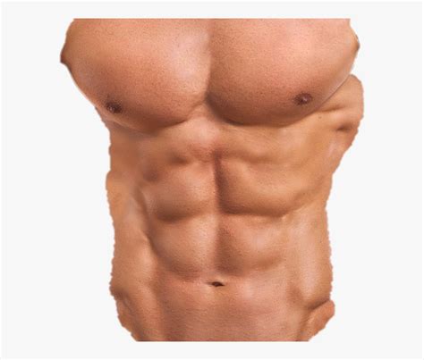 Six Pack Abs Png Hd Png Pictures Vhvrs