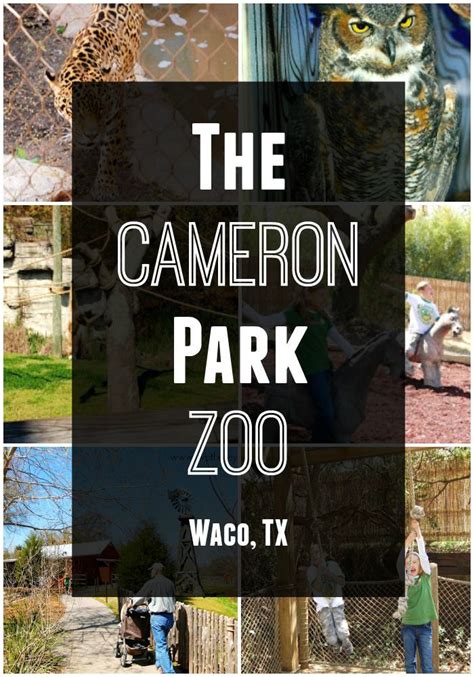 Cameron Park Zoo Waco Tx R We There Yet Mom Cameron Park