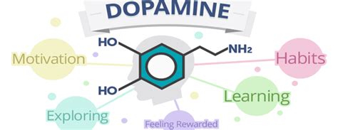 The Good Chemicals Part 1 Dopamine Sbsr