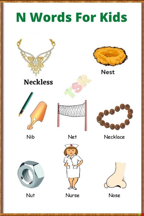 Learn Vocabulary Words That Start With N For Kids  Kids Learning