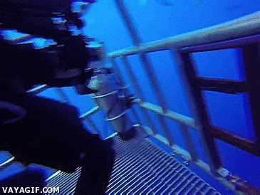 Added 6 years ago troll36 in funny gifs. PORFABLOG