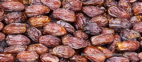 Harga kurma palm fruit / palmfrutt tunisia tangkai 500 gram. Kandungan Gizi BUAH KURMA dan Manfaat Buah Kurma bagi ...