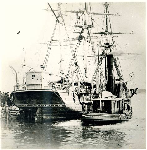 New Bedford Whale Ship Palmetto Vintage Whaling Photo By Albert Cook
