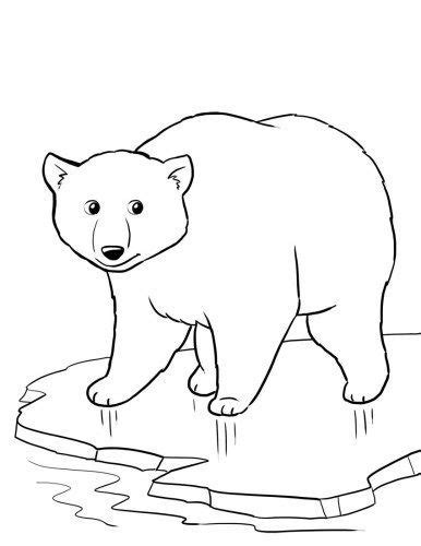 Elmer and the honey bee coloring page free puppy coloring pages for kids ad58l polar bear coloring page. Top 10 Free Printable Polar Bear Coloring Pages Online ...