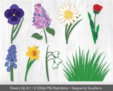 Spring Flowers Clipart Flower Garden Clip Art Graphics Tulip