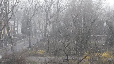 Um 20.30 uhr alarmierte die. Wetter in Berlin am 1. Januar
