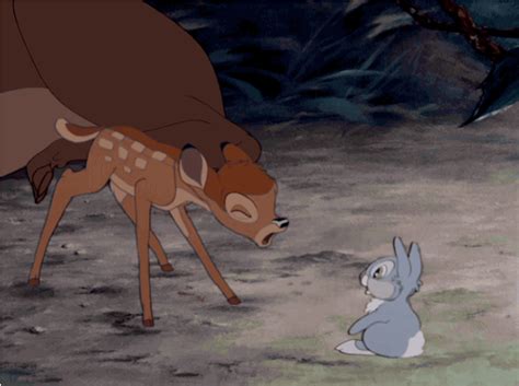 Thumper Bambi Sow S Sendsalo