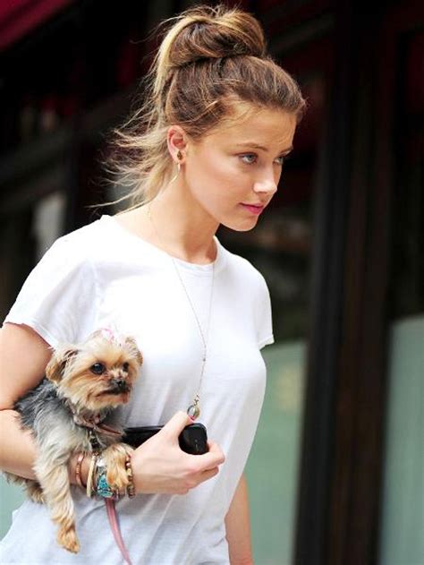 Doch es gibt kritik an ihrer aktion. V.I.Pets: Die Stars lieben ihre Hunde | InTouch