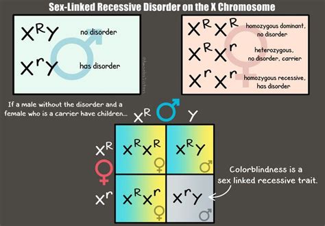 Multiple alleles (abo blood types) answer key by the amoeba. 115 best images about Amoeba Sisters Images on Pinterest | Dna, Transcription and Biology