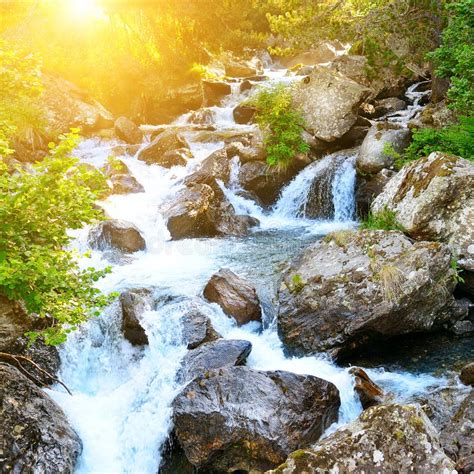 Mountain River Flowing Through The Green Forest Stock Photo Image Of