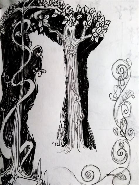 Line Drawing Art Nouveau Tree Drawing
