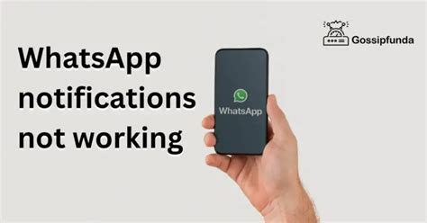 Whatsapp Notifications Not Working Gossipfunda