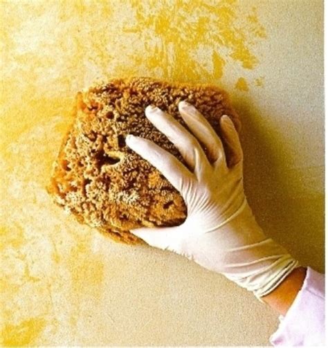 We did not find results for: 7 Different Painting Techniques to Use in Your Home ... DIY