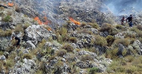 Yangına itfaiye ekiplerinin yanı sıra balıkesir orman bölge müdürlüğü'ne bağlı çok sayıda arazöz ve 3 helikopter müdahale etti. Balıkesir'de orman yangını - Yaşam Haberleri