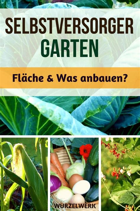We did not find results for: Selbstversorger-Garten: Anlegen - Garden Easy