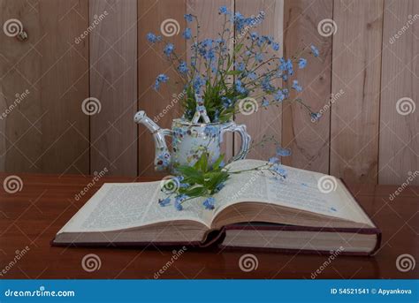 Libro Aperto Con I Fiori Di Myosotis Immagine Stock Immagine Di Scuro