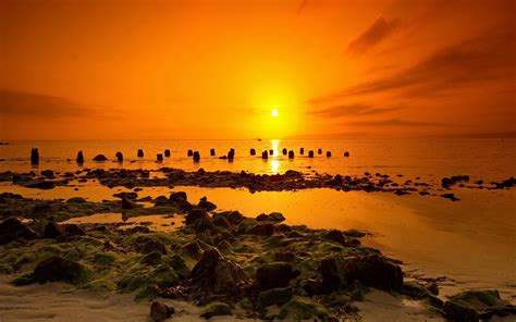 Gorgeous Red Sunset Twiligh Sea Coast Reflection Wallpaper Hd