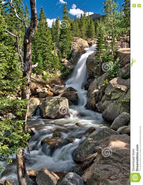 Alberta Falls In Rocky Mountain National Park Stock Image