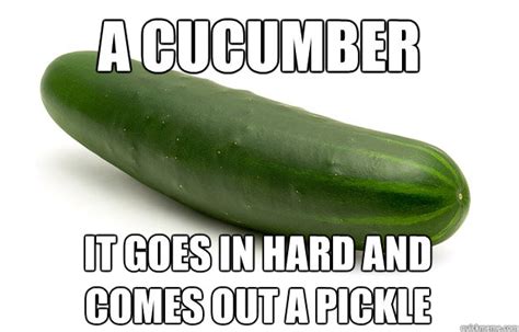 a cucumber it goes in hard and comes out a pickle suggestive vegetable quickmeme