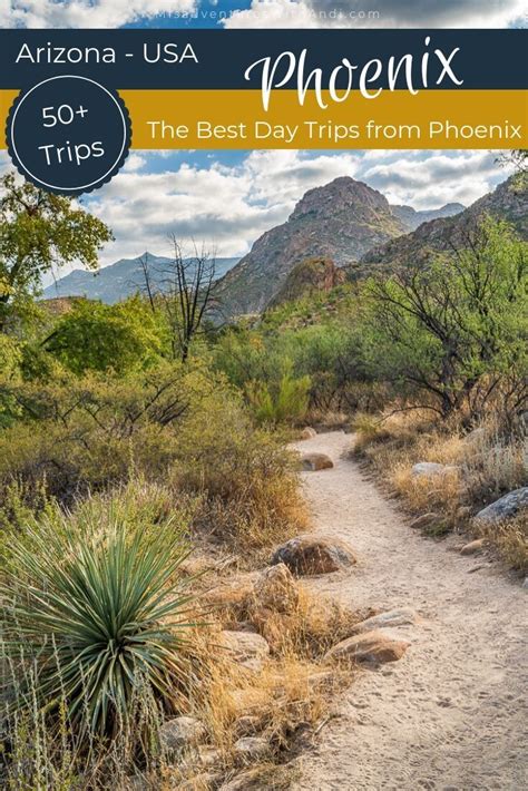 The 50 Best Day Trips From Phoenix Day Trips Trip Southwest Travel