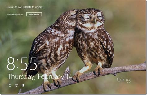 Use Microsoft Bing Daily Wallpaper As Windows 8 Lock Screen Background