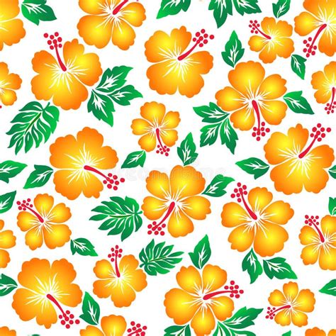 Hibiscus Flower Pattern Stock Illustration Illustration Of Display