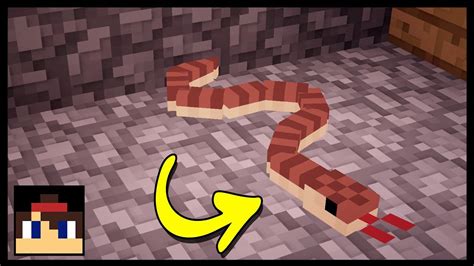 How To Tame A Snake In Mo Creatures Snake Poin