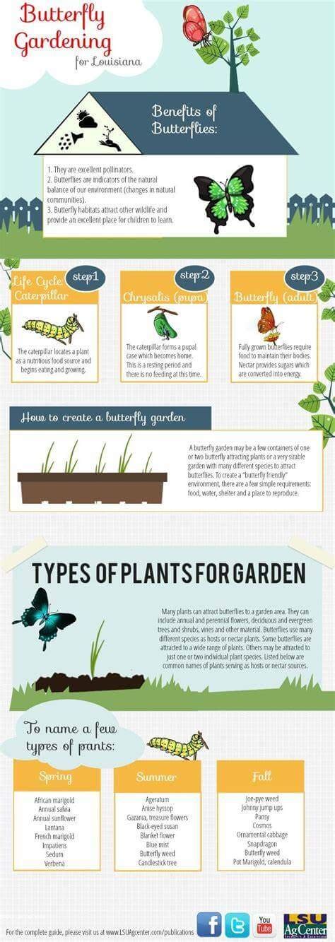 How To Build A Butterfly Garden