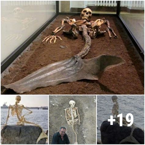 In Iceland Archaeologists Found Mermaid Bones Putting An End To The