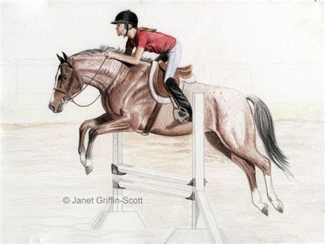 According to experts, there are still a few today, horses do transport things. Draw a Horse Show Jumper in Colored Pencil