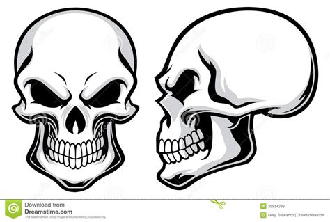 Cartoon Skulls Royalty Free Stock Images - Image: 35934299