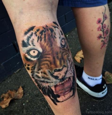 Tatuagem de Tigre Significado cuidados e 80 ideias incríveis