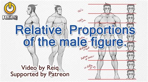 “human Body Male Proportions” By Reinaldo Quintero Aka Reiq • Blog