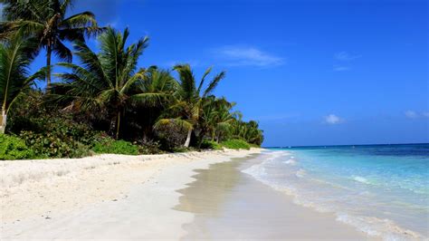 Wallpaper Flamenco Beach Culebra Puerto Rico Palms Best Beaches Of