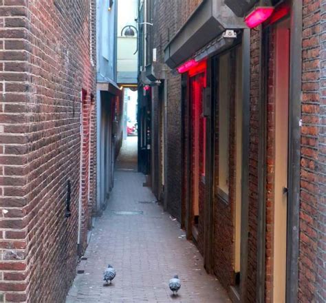 Top 13 Amsterdam Red Light District Rules And Laws [2023 2024] Amsterdam Red Light District