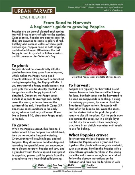 Instructions for Growing Poppies | Growing poppies, Trees to plant, Growing gardens