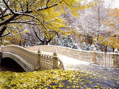 World Visits New York Central Park The Natural Hub In The