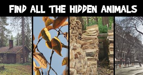 Can You Find The 5 Hidden Animals Doyouremember