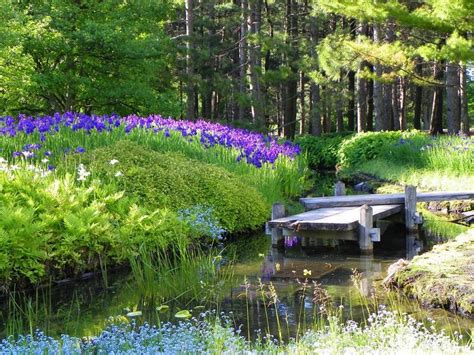 Inside The Montréal Botanical Garden In 33 Breathtaking Photos