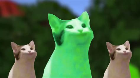 Cat Singing Cat Cat Meme 2020 Cat Meme Face Cat Youtube