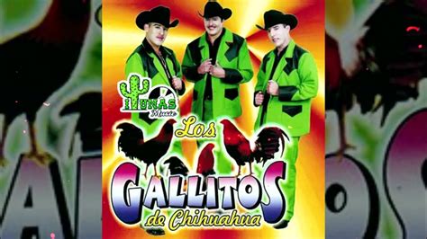 Los Gallitos De Chihuahua Puras Buenas Con Tololoche Youtube