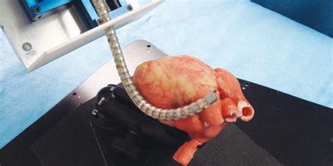 ular robot bantu operasi bedah  menjelajah laut merah