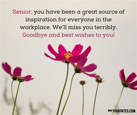 Farewell Quotes For Seniors