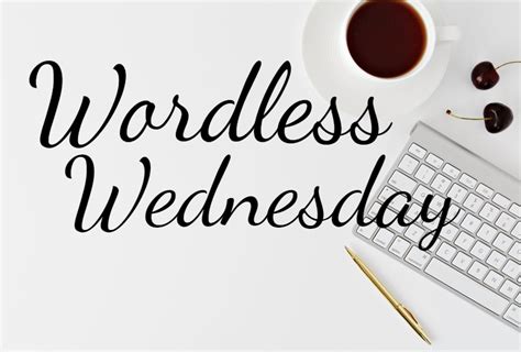 Wordless Wednesday 33 Wordless Wednesday