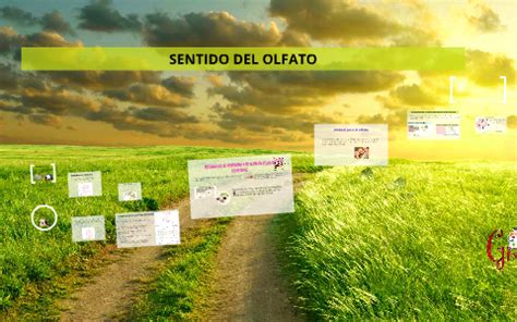 Follow these easy steps step 1. TRANSMISIÓN DE LAS SEÑALES OLFATORIAS by MayRa DiAxz on ...