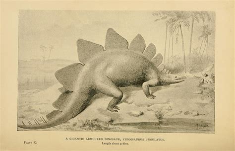 Animales Extintos Ilustraciones Antiguas Taringa